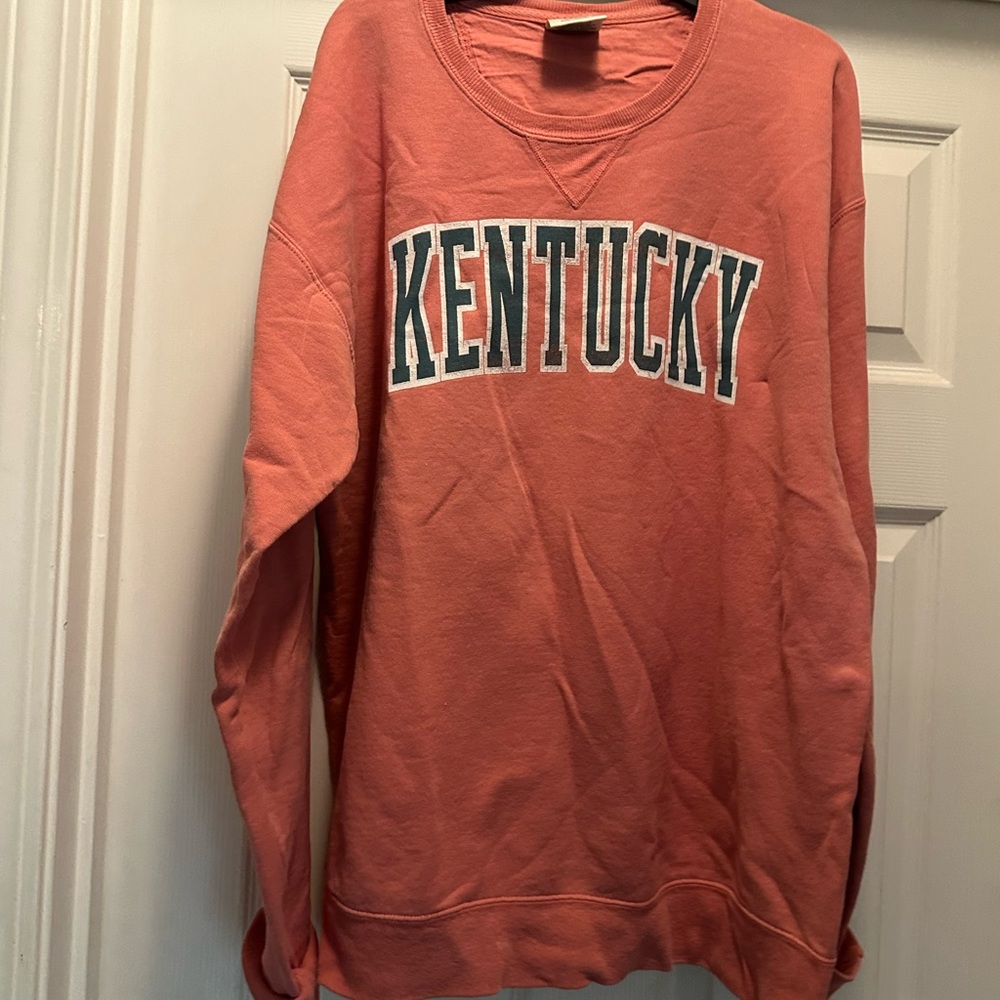 Hanes ComfortWash Sweatshirt in Pink